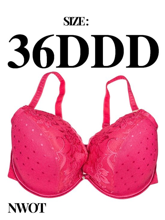 Crème Bralée by QT Intimates Other - Crème Bralée by QT Intimates Lace Underwire Bra NWOT — Size 36DDD